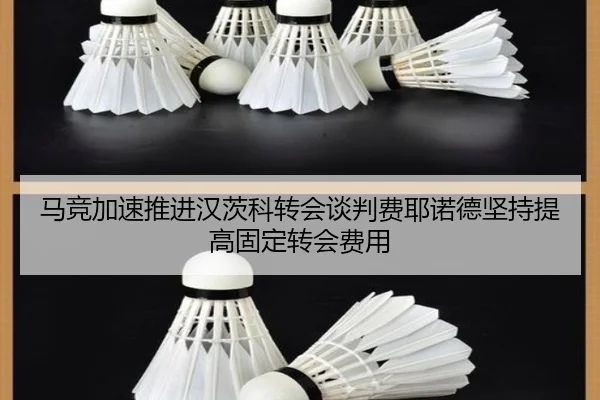 马竞加速推进汉茨科转会谈判费耶诺德坚持提高固定转会费用